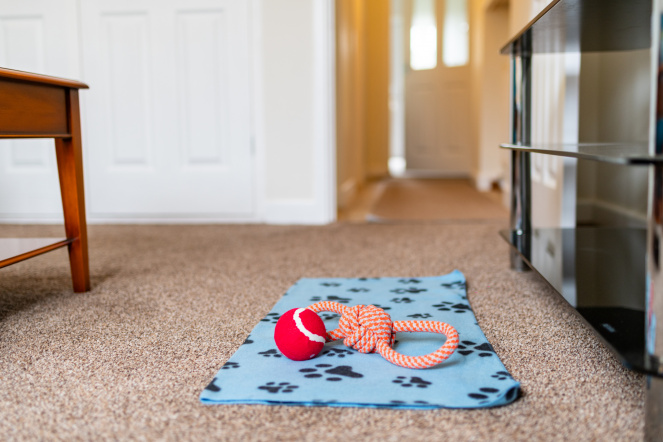 Seaspray 37 Tartane Lane, Dymchurch, TN29 0LJ